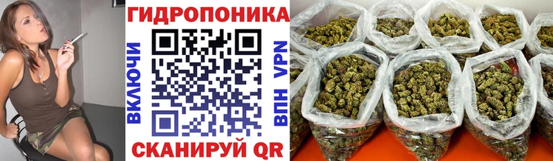 Канабис семена  ОМГ ОМГ ССЫЛКА  Белокуриха 